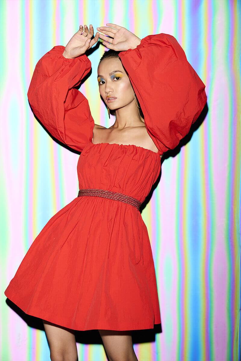 Scarlet Balloon Sleeve Dress