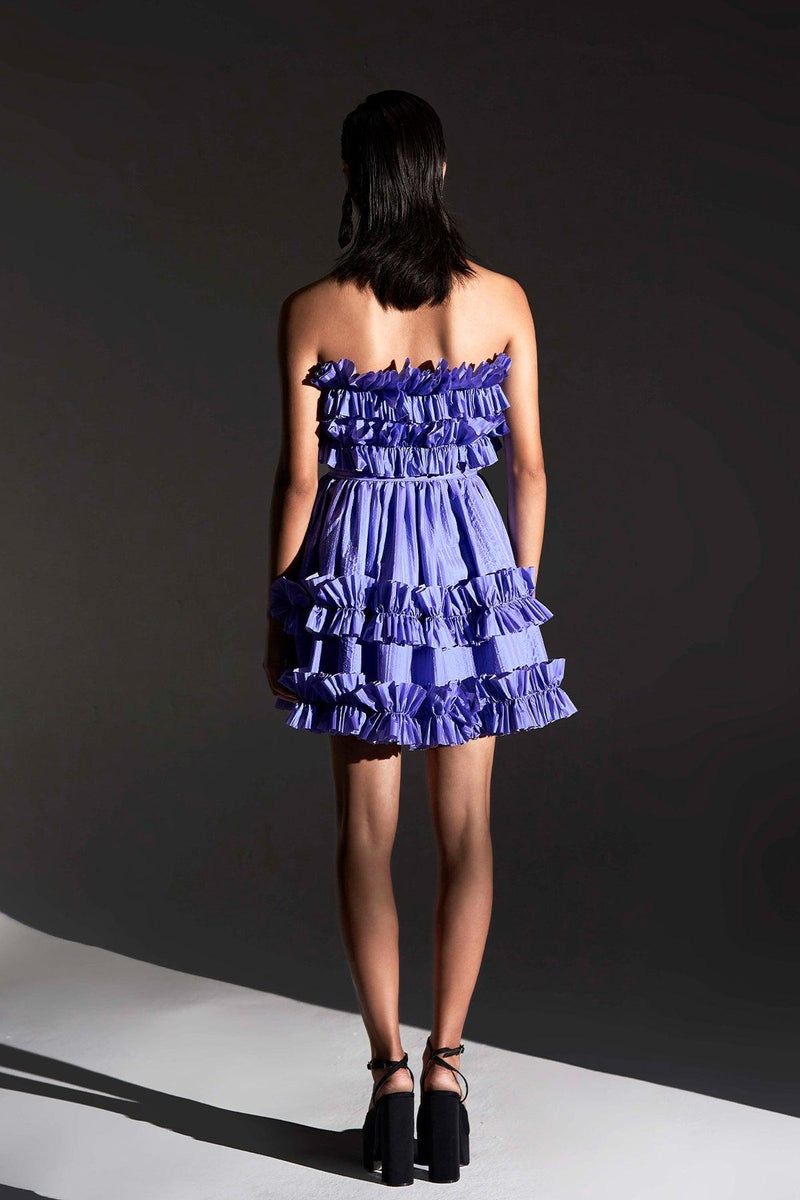 Purple Ruffled Tube Dress